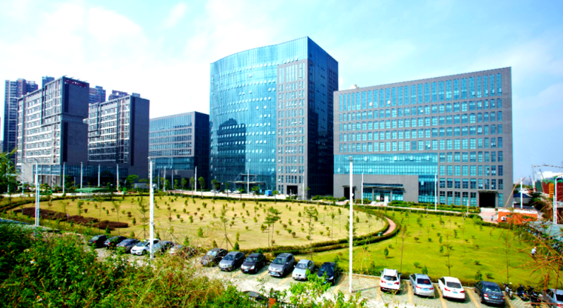 广州市其信花木有限公司办公室植物租赁方案与风水搭配指南