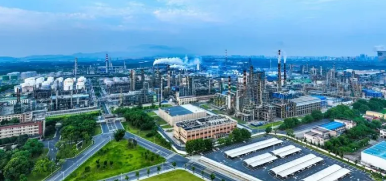 2024年广州市其信花木有限公司行业趋势：绿植租赁在智能办公空间的应用前景